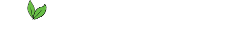 About Us - Green earth international
